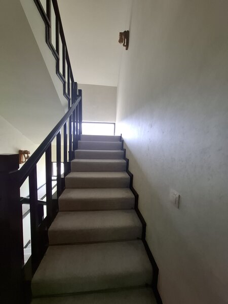 Daesti, jud. Valcea,